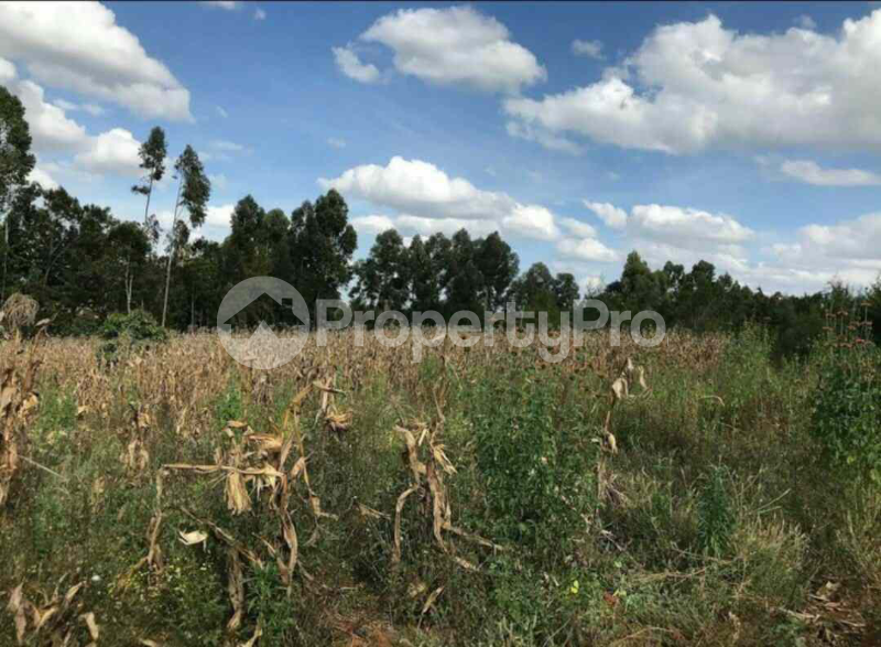 Land for sale Nyahururu Nyahururu