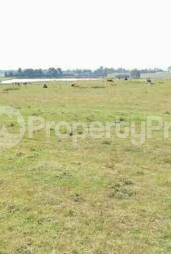 Land for sale Kinangop Nyandarua
