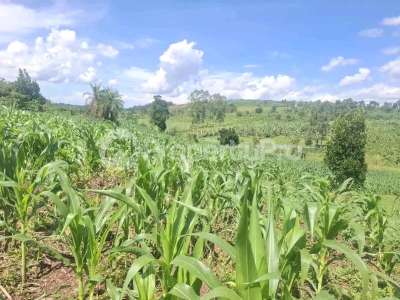 Land for sale Wabitungulu zirobwe  Luweero Central - 1