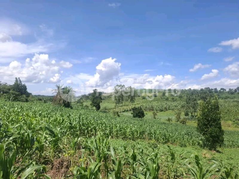 Land for sale Wabitungulu zirobwe  Luweero Central - 3