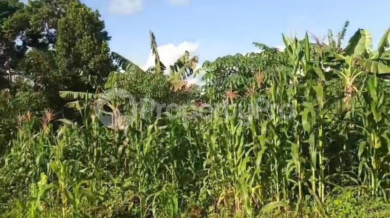 Land for sale Namugongo nsawo estate  Kira Wakiso Central - 4