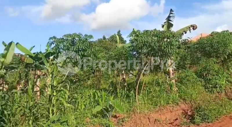 Land for sale Namugongo nsawo estate  Kira Wakiso Central - 3