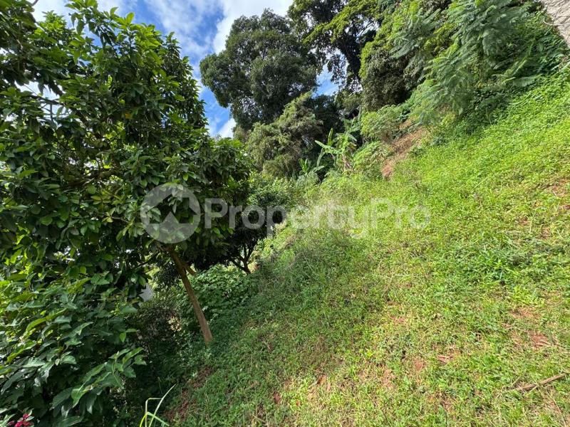 Land for sale Makindye  Kampala Central - 2