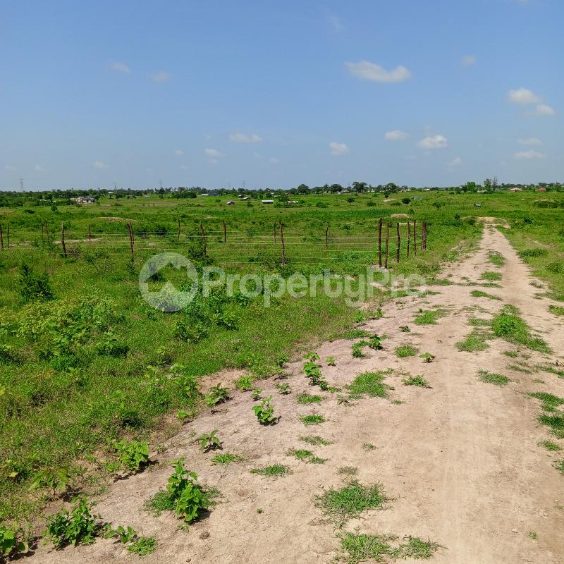 Residential Land for sale Kadzonzo, Mariakani Mariakani (PID 2ALFY) PropertyPro
