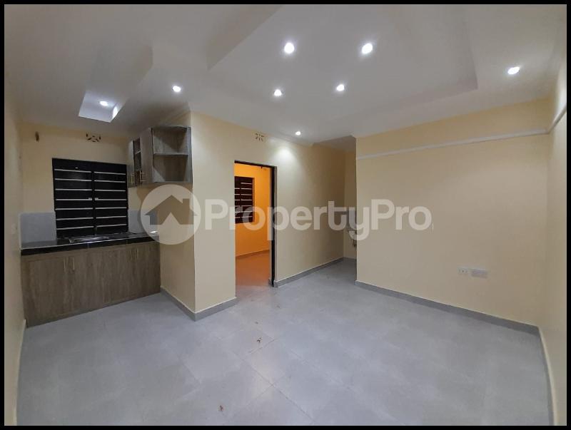 1 bedroom mini flat  Bedsitter Flat&Apartment for rent Rabango Alego Siaya