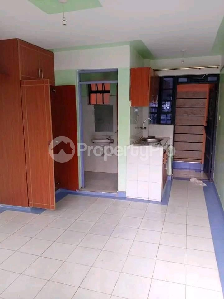 Bedsitter Flat&Apartment for rent Milimoni Kisumu West Kisumu - 1