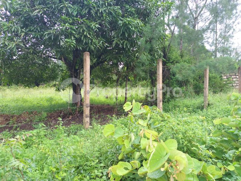 Residential Land for sale Msambweni Area Msambweni Kwale
