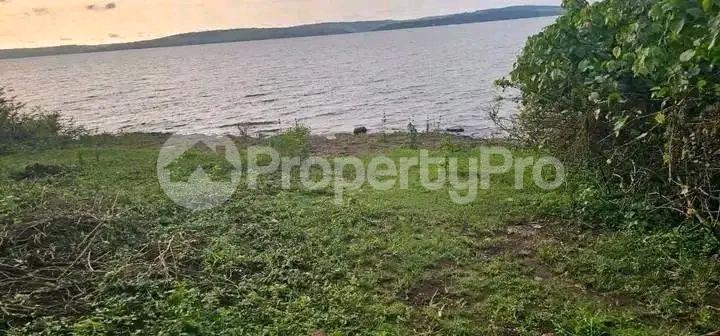 Land for sale Bwema island mukono  Buikwe Central - 2