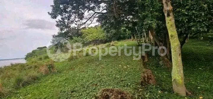 Land for sale Bwema island mukono  Buikwe Central - 4