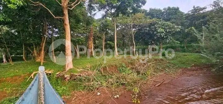 Land for sale Bwema island mukono  Buikwe Central - 3