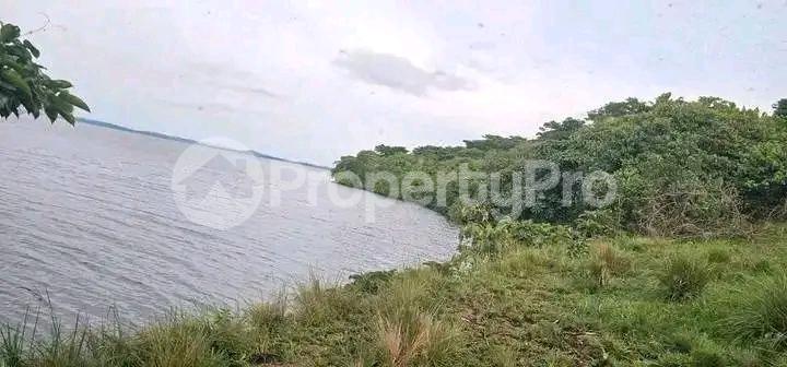 Land for sale Bwema island mukono  Buikwe Central - 1