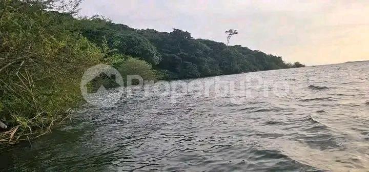 Land for sale Bwema island mukono  Buikwe Central - 0