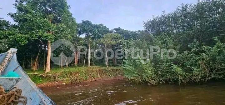 Land for sale Bwema island mukono  Buikwe Central - 6