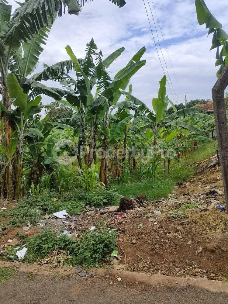 Land for sale Mulungu Munyonyo Kampala Central - 2