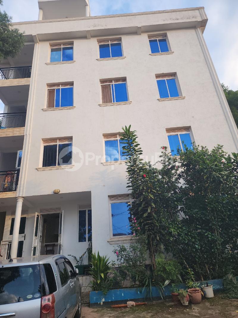 2 bedroom Apartment for rent Muyenga road Kampala Central - 0