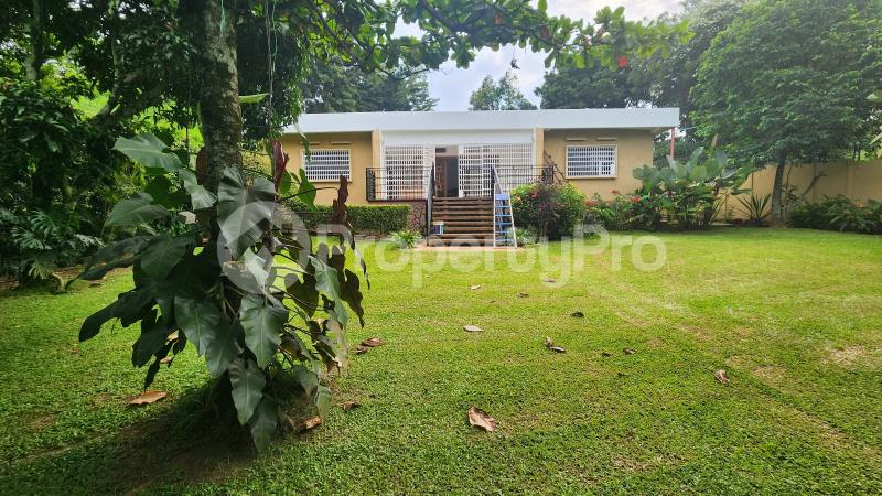4 bedroom Villa for rent Zimwe road  Makindye Kampala Central - 0
