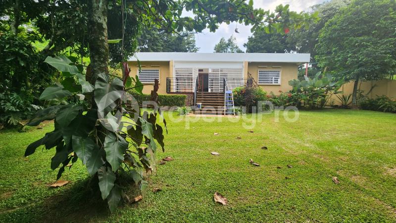 4 bedroom Villa for rent Zimwe road  Makindye Kampala Central - 1