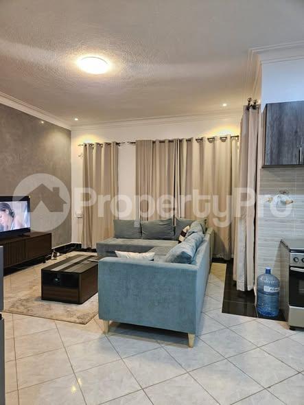 1 bedroom mini flat  Apartment Block Apartment for rent Naalya road Kampala Central - 5