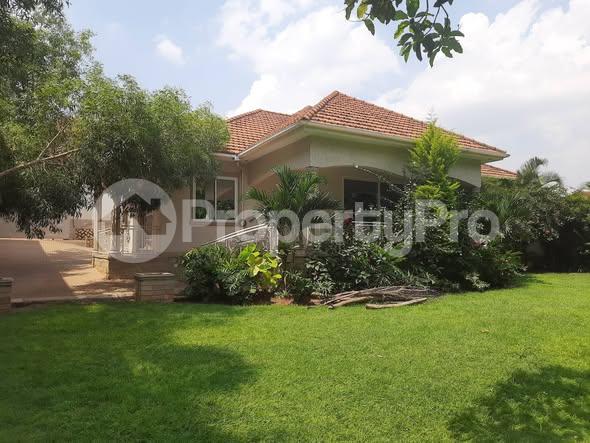 4 bedroom Bungalow Apartment for rent najjera road  Kampala Central Kampala Central - 0
