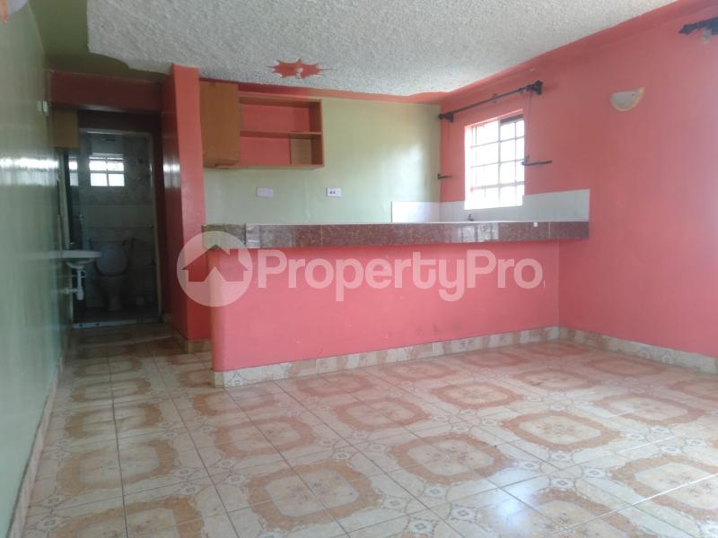 1 bedroom mini flat Bedsitter Flat&Apartment for rent close to Outspan