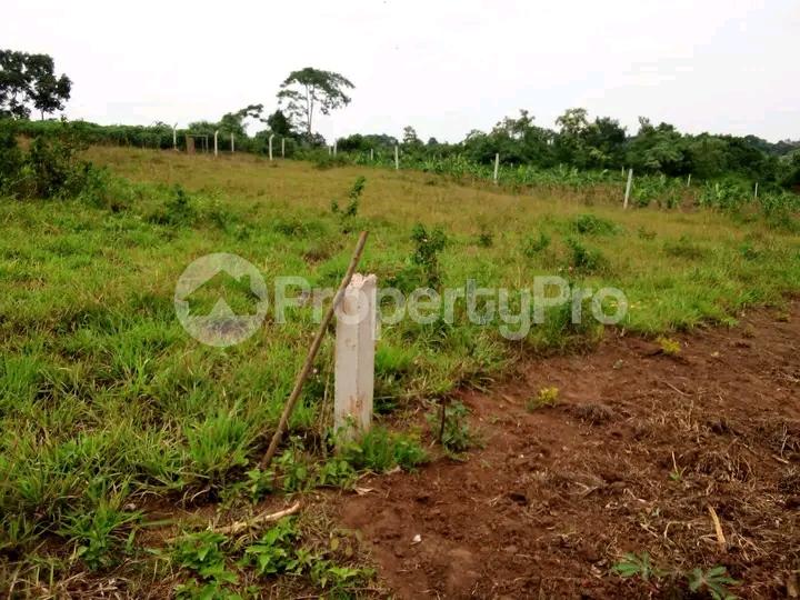 Land for sale Namugongo  Kampala Central - 4