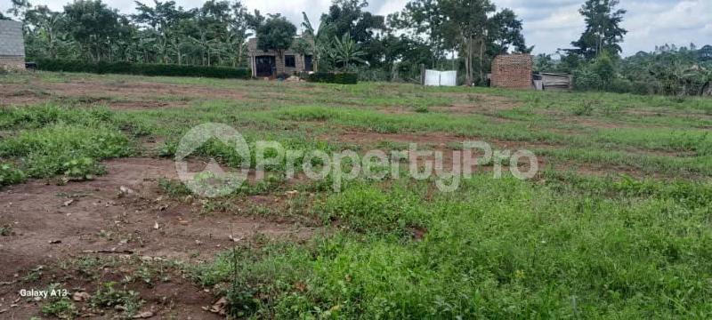 Land for sale Bukerere road  Bukerere Mukono Central - 3
