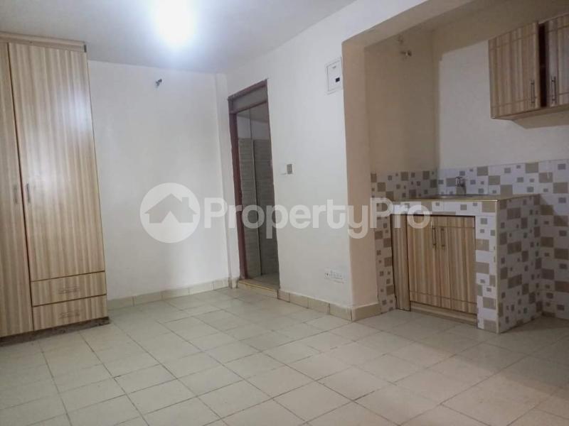 1 bedroom mini flat Bedsitter Flat&Apartment for rent Sigona close to