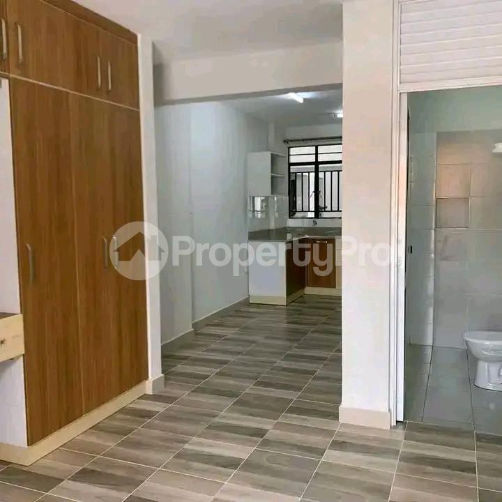 1 bedroom mini flat  Flat&Apartment for rent Park road Ngara Nairobi - 0