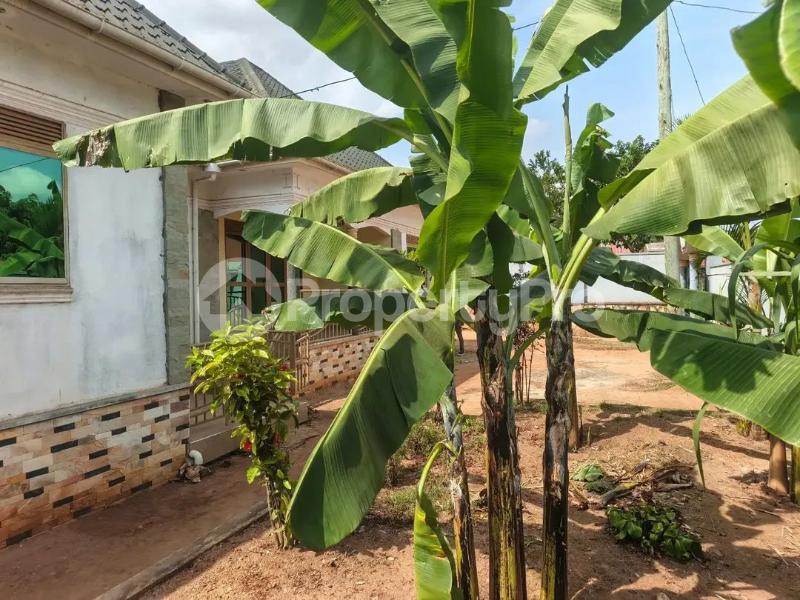 3 bedroom Villa for sale Nsangi  Nsangi Wakiso Central - 4