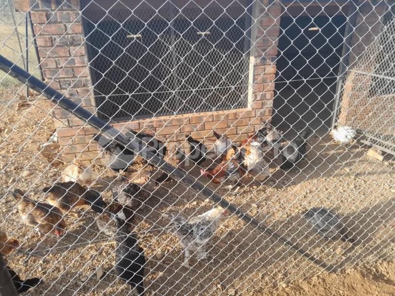 2 bedroom Farm & Agricultural land Land for sale Ntabazinduna , Along Harare Road Bulawayo North Bulawayo - 4