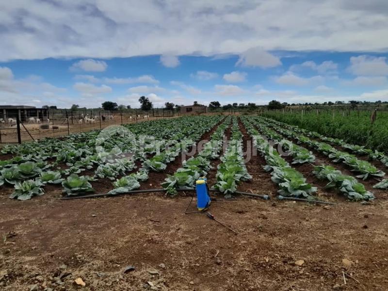 2 bedroom Farm & Agricultural land Land for sale Ntabazinduna , Along Harare Road Bulawayo North Bulawayo - 3