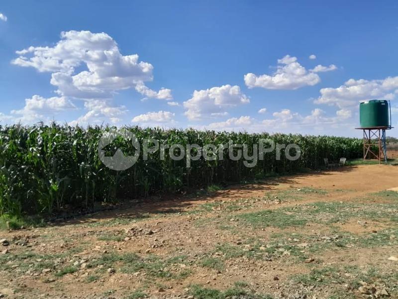 2 bedroom Farm & Agricultural land Land for sale Ntabazinduna , Along Harare Road Bulawayo North Bulawayo - 0