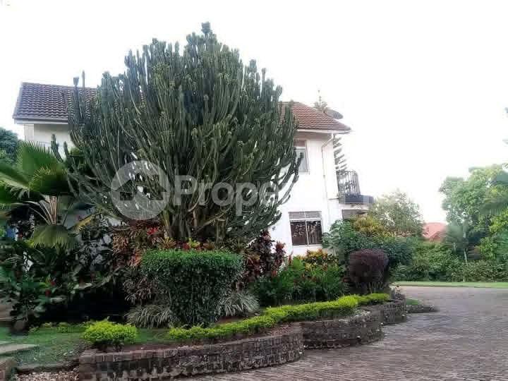 8 bedroom Bungalow Apartment for sale Ntinda road  Kampala Central Kampala Central - 4