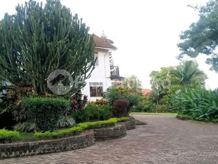 8 bedroom Bungalow Apartment for sale Ntinda road  Kampala Central Kampala Central - 7