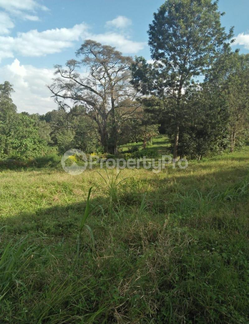 Land for sale Limuru, Tigoni Tigoni Limuru (PID 7ACBS) PropertyPro