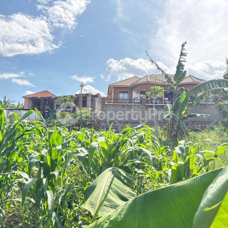 Land for sale Naalya Kampala Central Kampala Central - 1
