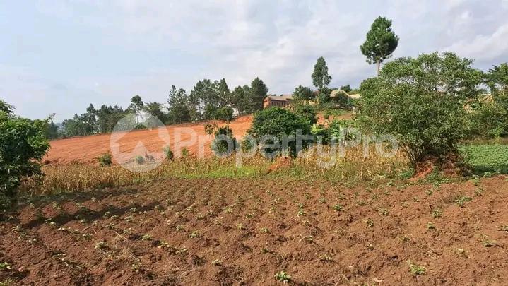 Commercial Property for sale Gayaza road  Kampala Central - 5