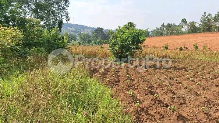Commercial Property for sale Gayaza road  Kampala Central - 4