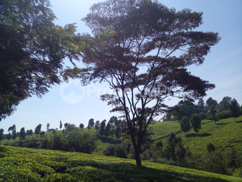 Land for sale Tigoni Limuru
