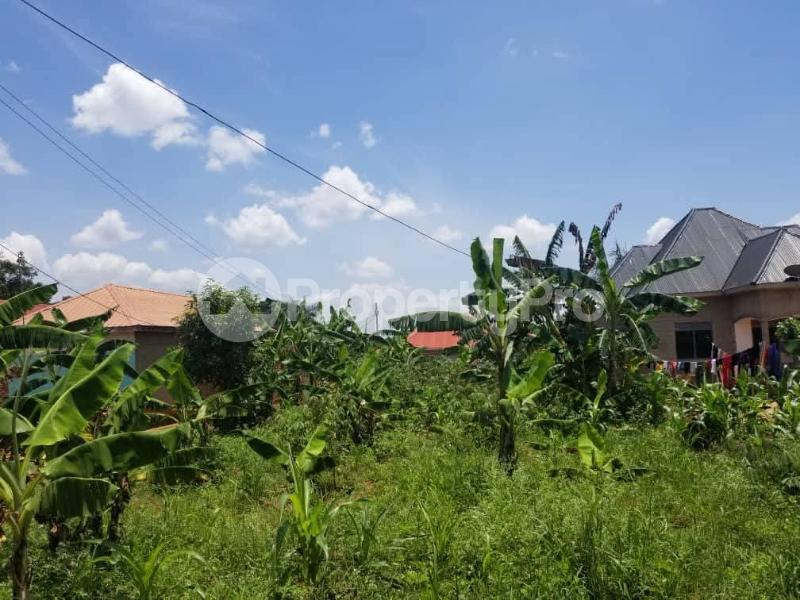 Land for sale Iganga bulubandi Iganga Eastern - 2