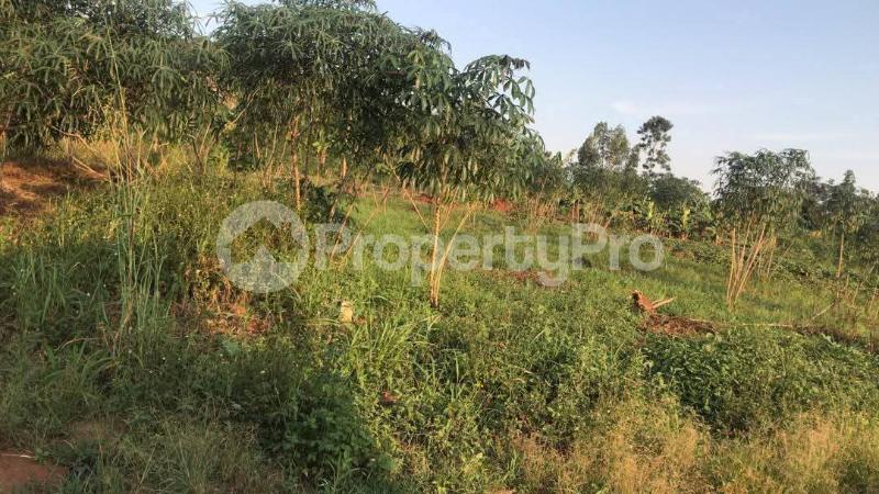 Land for sale Kalagala Gayaza road  kabembe Mukono Central - 1