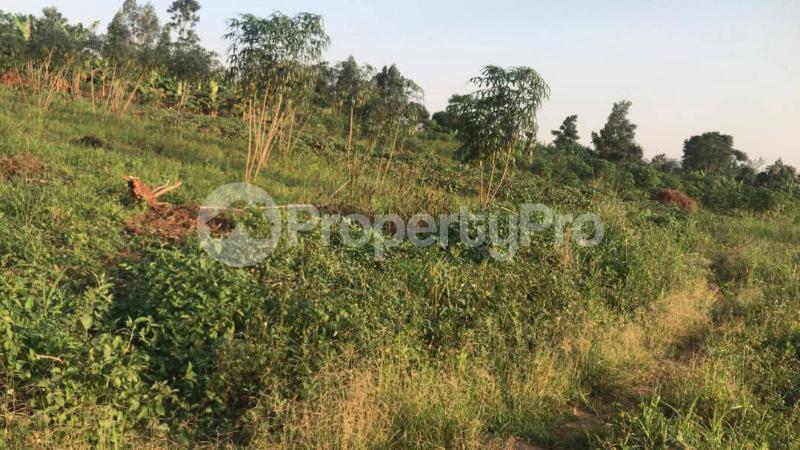 Land for sale Kalagala Gayaza road  kabembe Mukono Central - 3