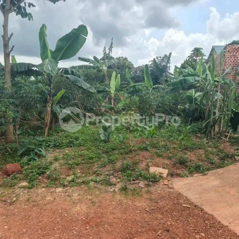 Land for sale Mukono festino Bajo Mukono Central - 1