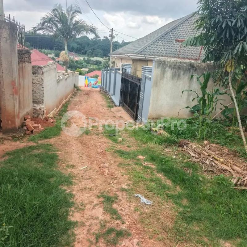 Land for sale Mukono festino Bajo Mukono Central - 0