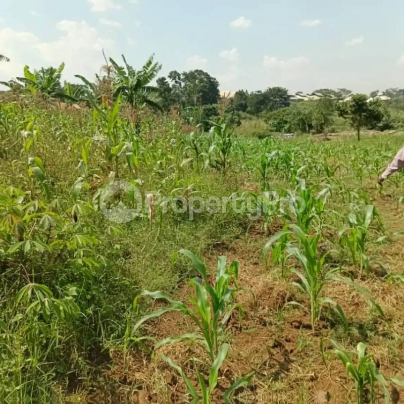 Land for sale Mukono festino Bajo Mukono Central - 4