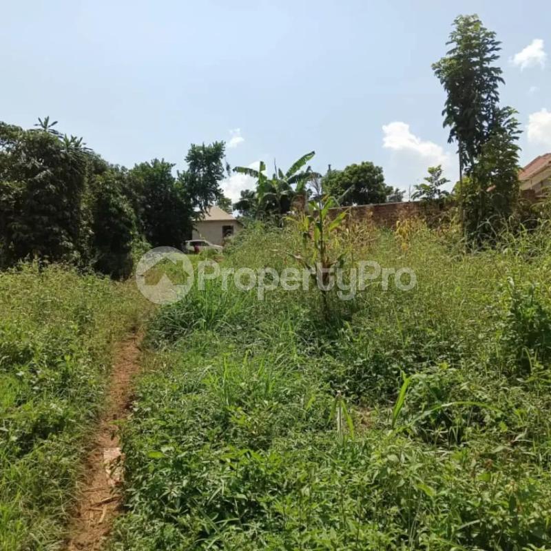 Land for sale Mukono festino Bajo Mukono Central - 3