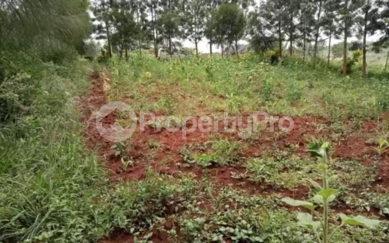 Land for sale Thika Kiambu