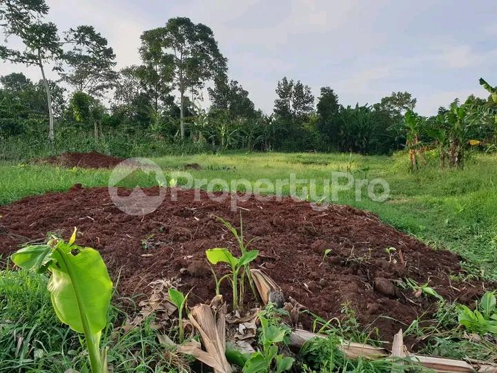 Land for sale Mukono  Kampala Central Kampala Central