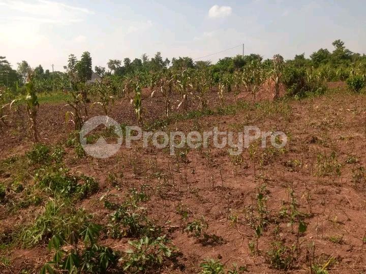 Land for sale Kira road  Kira Wakiso Central - 0