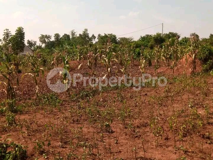Land for sale Kira road  Kira Wakiso Central - 3